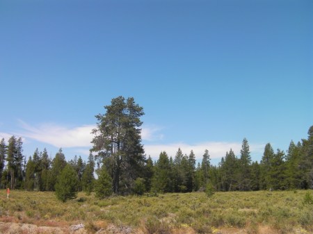 Deschutes Deschutes