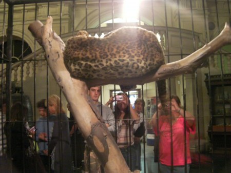 BanksyJaguar1 BanksyJaguar1