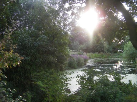 FelthamBog FelthamBog