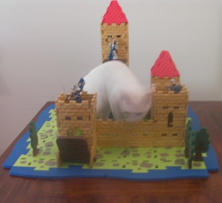 cat and toy castle