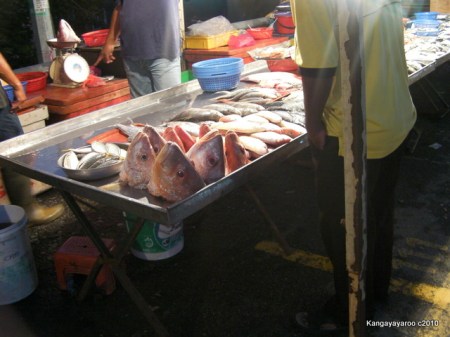 fish heads