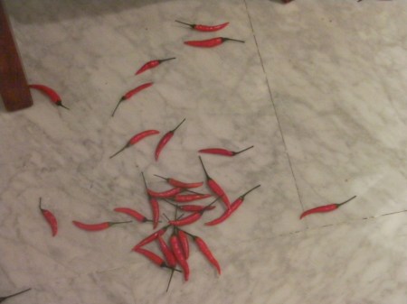 Peppers small red chili peppers scattered on the floor