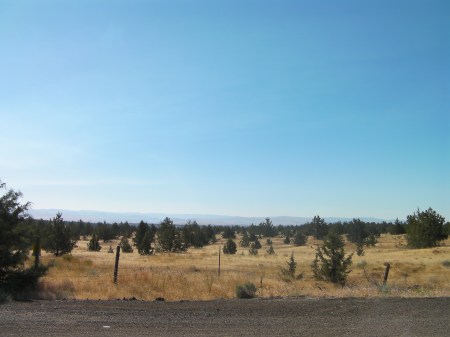Central Oregon sage brush and juniper trees