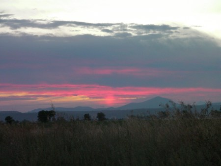 Purple sunset purple sunset