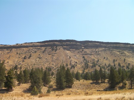 Rimrock juniper trees and plateau hills