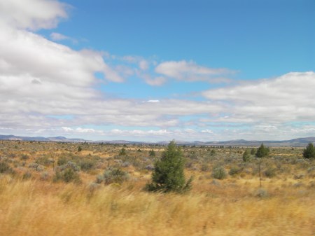 Warm Springs Grasslands grasslands, juniper trees, sage brush and clouds