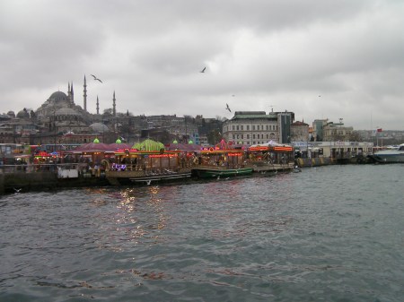 small boats tied up to shore highly decorated and lit