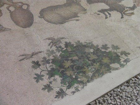 mosaic bush