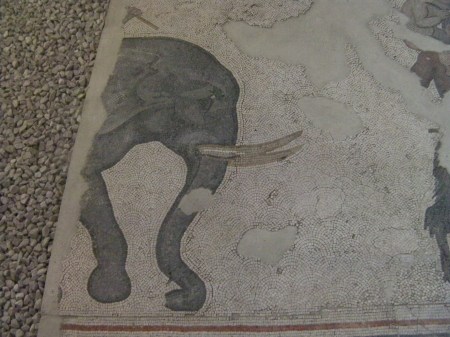 mosaic elephant head and front leg