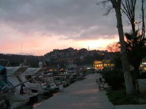 boats in the harbor