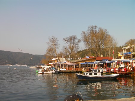 Return Ferry view from the ferry landing