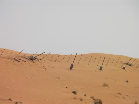Fence Posts sand dune with fence posts