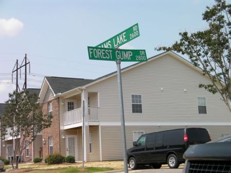 street sign for Forest Gump Drive