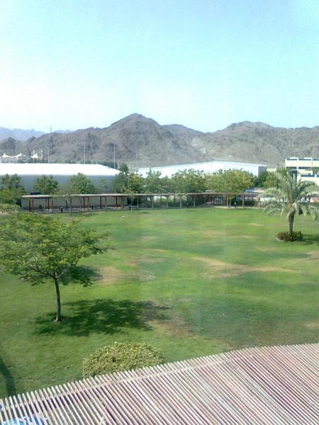 Library View view of green lawn and mountains in background
