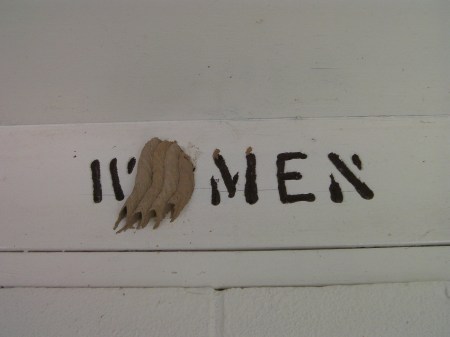 Women and wasps women's restroom sign with wasp nest over the O