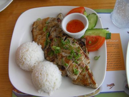 plate of rice and chicken breast