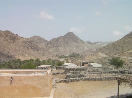 view of a valley with palm trees 