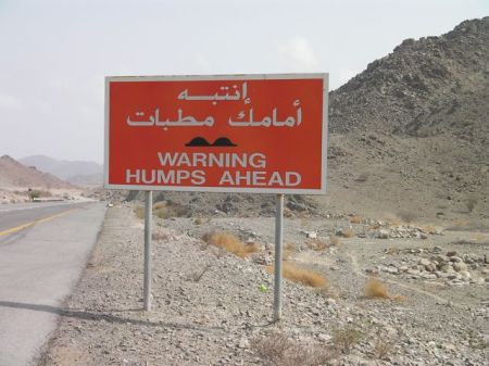 Humps Ahead speed bump warning sign