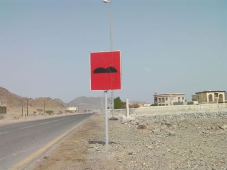 Plain Humps Sign speed bump warning sign with only a silhouette of bumps