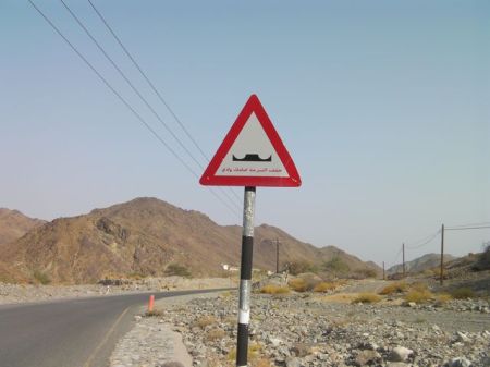 Reverse Humps road sign warning of dips in the road