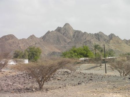 Mountain near Ohala mountain in background, green trees in foreground