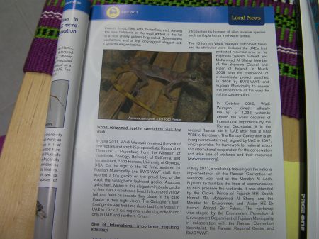 Fujairah Observer Article magazine article explaining that two reptile specialists were in the area looking for the Gallagher's leaf-toed gecko