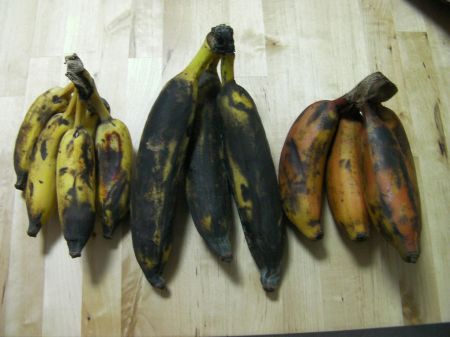 Bananas three bunches of bananas, small, black, and red