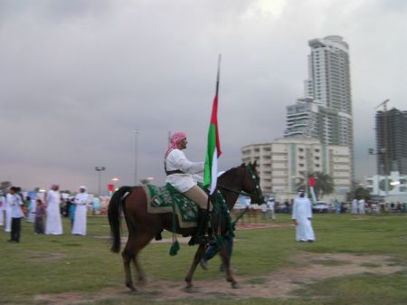 Horse and Rider horse and rider carrying the national flag