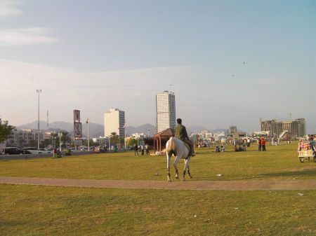 man riding a horse through the park