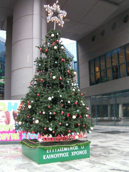 Shopping Mall Christmas Tree Real pine tree decorated with lights, balls and a big star