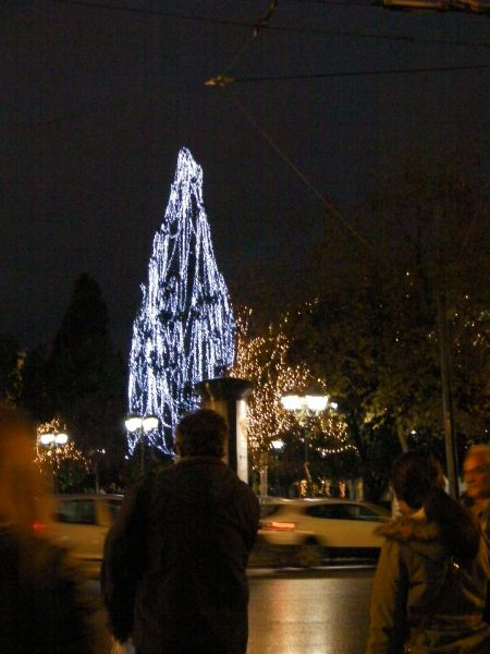 Central Tree large real tree covered in white lights