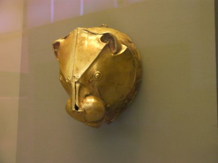 golden lion head