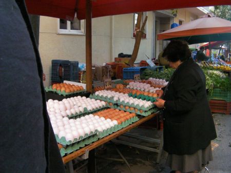 table full of eggs, both white and brown