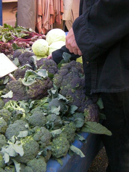 purple broccoli