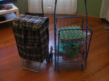 two shopping carts