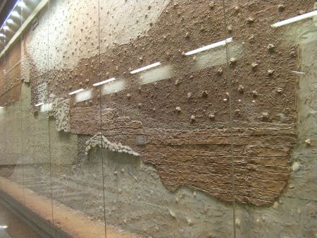 showcase wall showing excavated levels and graves