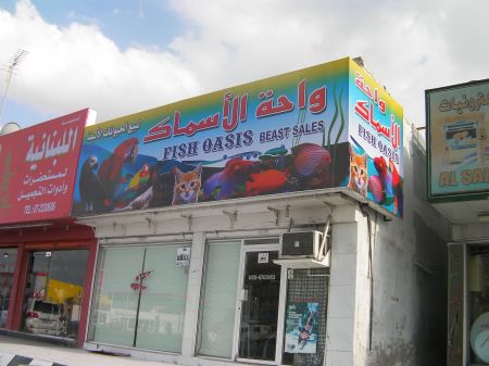 Fish Oasis Beast Sales pet store sign