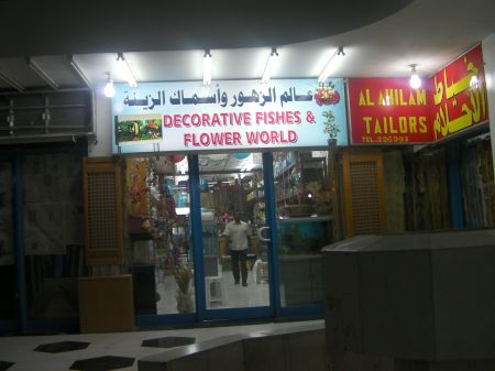 Decorative Fishes and Flower World store
