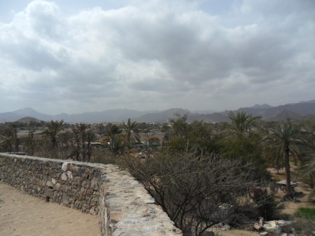 View from the Hill view from the hill above the mosque, palm trees and hills in distance