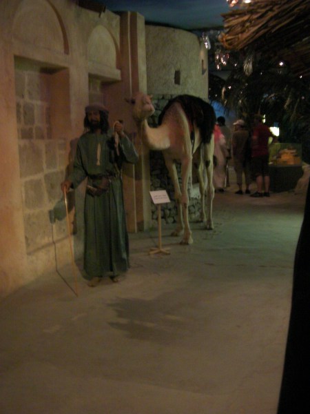 Dubai Museum taxodermied camel & manikin