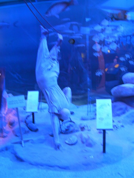 Pearl Diver Exhibit figure showing how pearl divers collected oysters