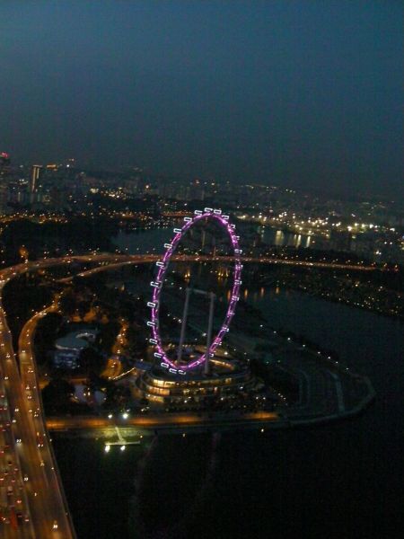 Singapore Flyer ferris wheel lighted at night