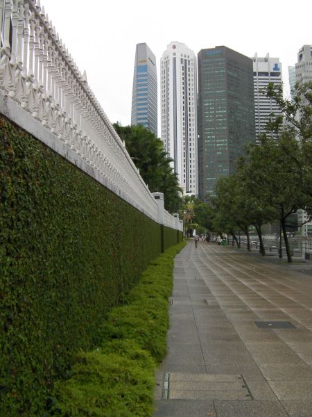 Riverside Walk walkway bordered by trees on the right and an ivy covered wall on the left