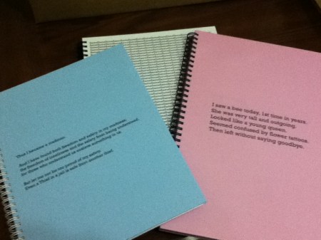 Blank Books three spiral bound blank books