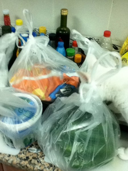 groceries in separate bags