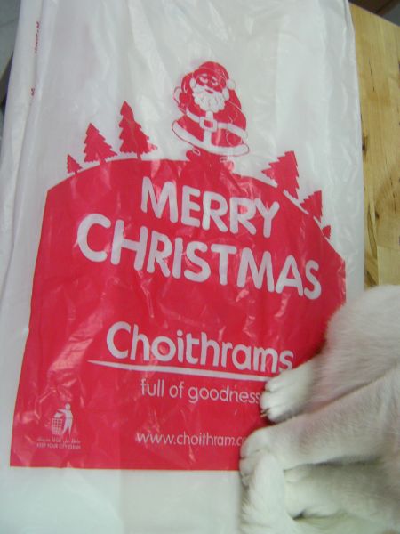 plastic grocery bag printed with Merry Christmas, Santa, and trees