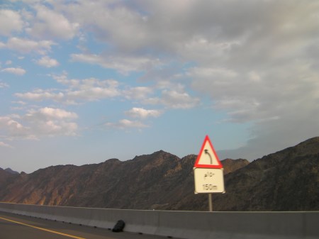 blue sky with fluffy clouds above rugged hills