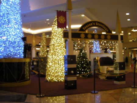 more Christmas trees covered in lights