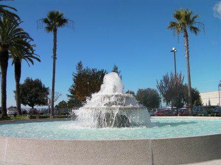 round fountain, palm trees, blue sky