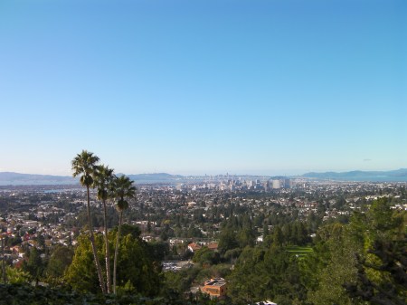view of the east side of the San Francisco bay from a hill top